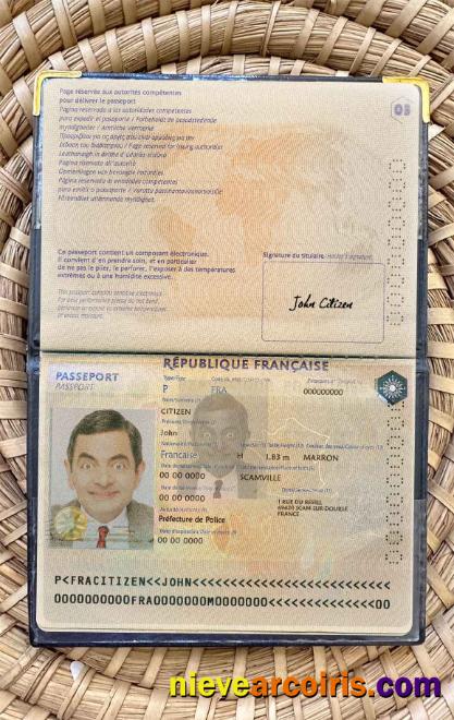 France passport version 2 photolook